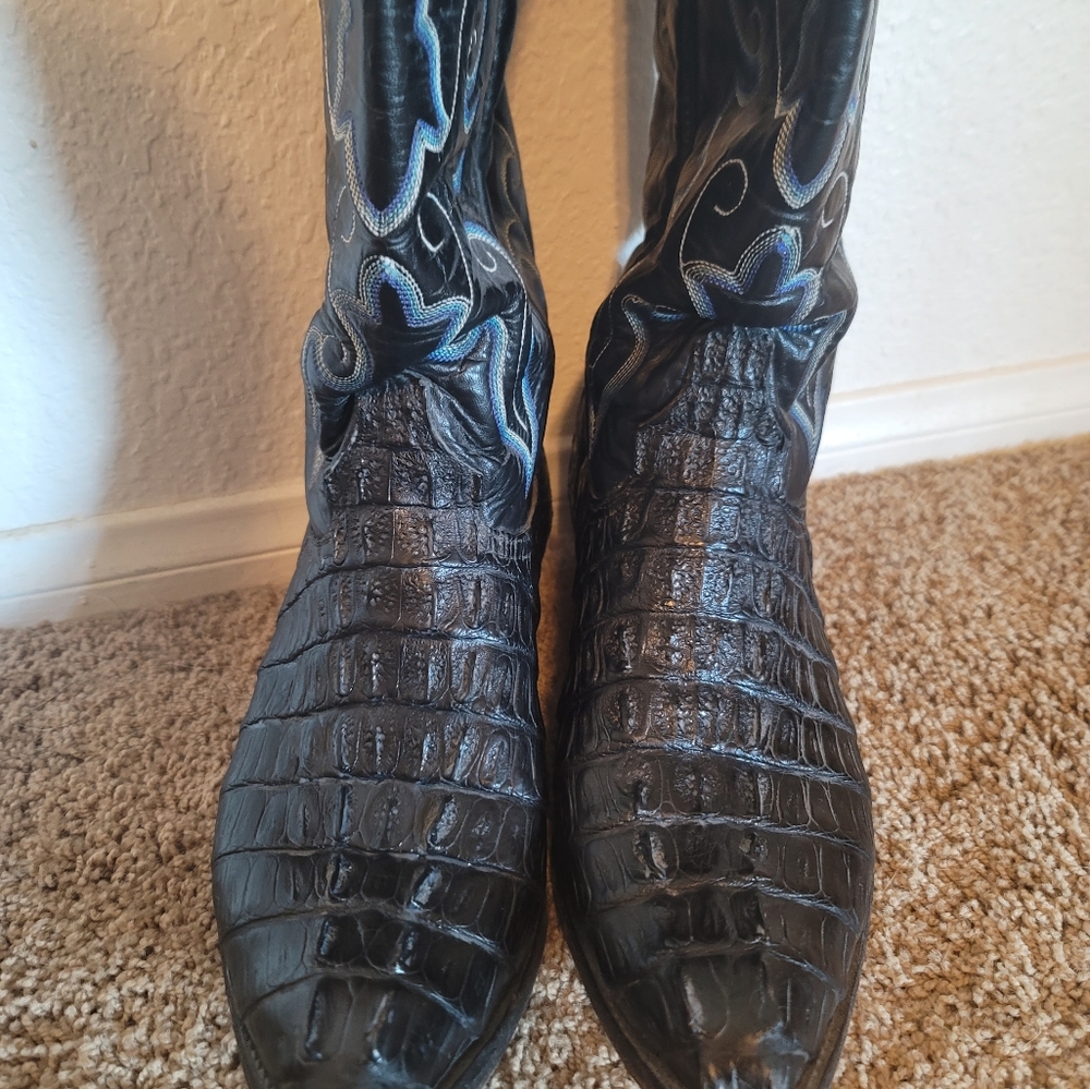 American Alligator tailcut size 9.5 Wide
